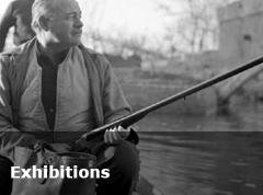 Art Exhibitions