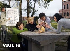 viulife